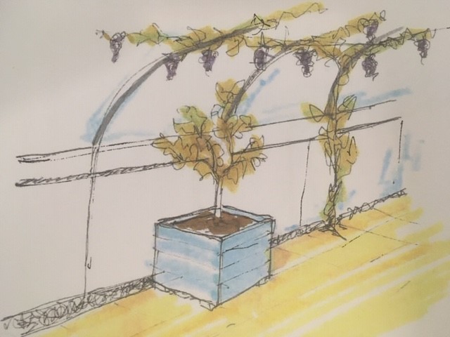 raised bed raised bed